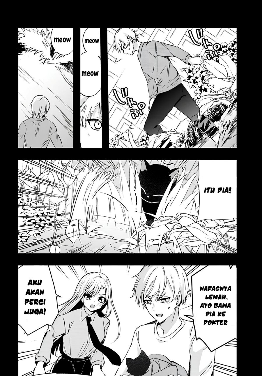 Chiteki de Cool na Kouhai Bijo, Ore no Kai Neko ni naru Chapter 06 Gambar 4