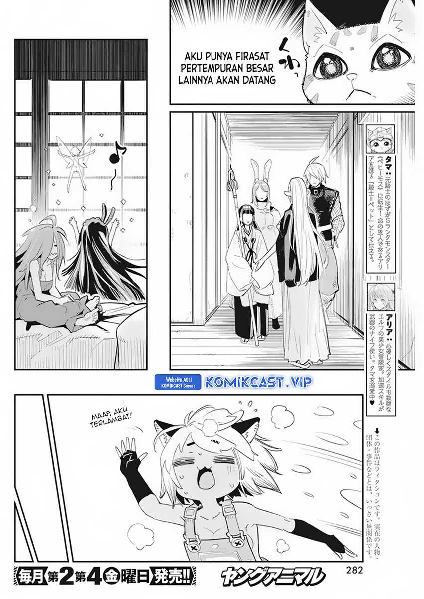 S-Rank Monster no Behemoth Dakedo, Neko to Machigawarete Erufu Musume no Kishi (Pet) Toshite Kurashitemasu Chapter 61 Gambar 3
