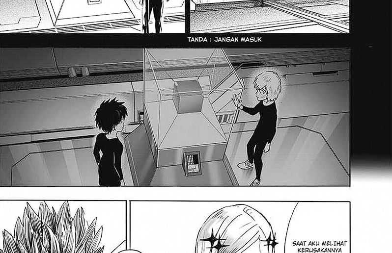 One Punch Man Chapter 250 16