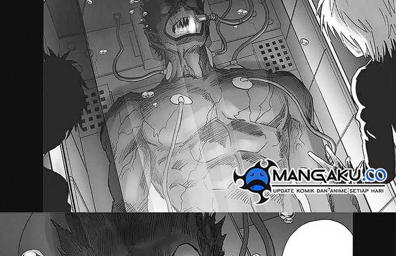 One Punch Man Chapter 250 19