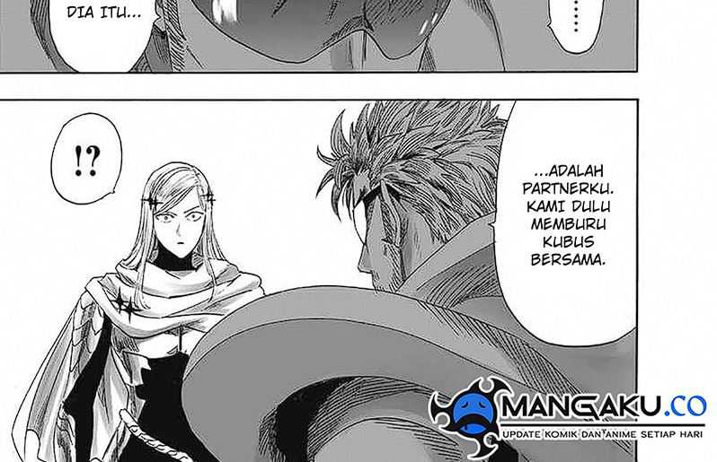 One Punch Man Chapter 250 21