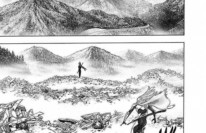 One Punch Man Chapter 250 43