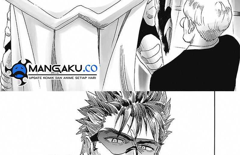 One Punch Man Chapter 250 6