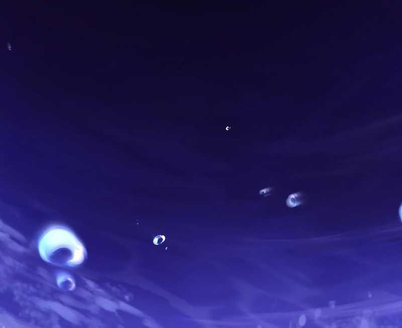 Lazy Prince Becomes a Genius Chapter 104 Gambar 97