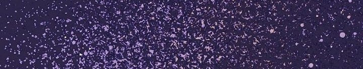 Sleeping Ranker Chapter 91 Gambar 11