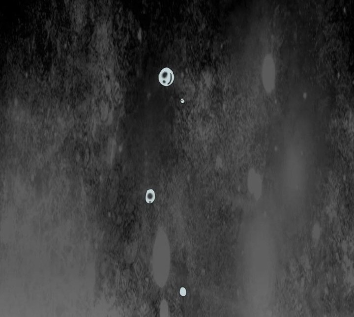 Eternal First God Chapter 145 Gambar 29