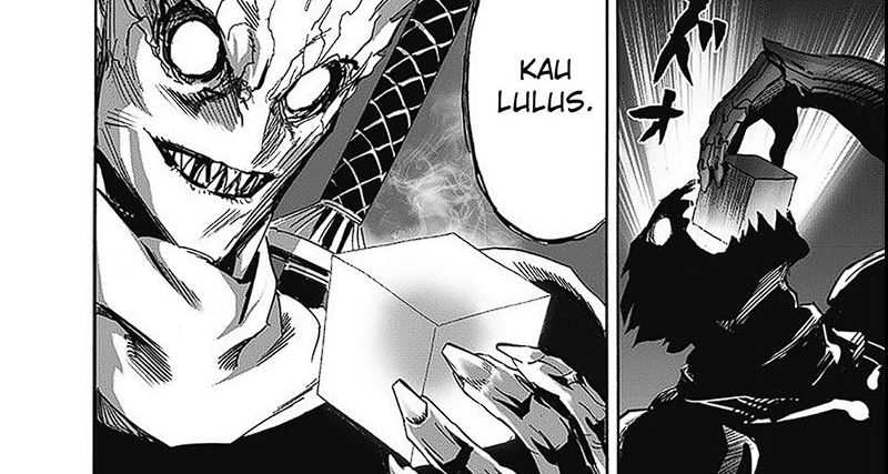 One Punch Man Chapter 255 17