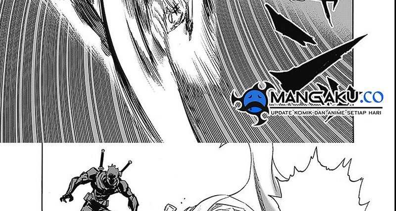 One Punch Man Chapter 255 20