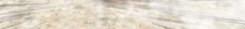 My Disciples Are All Big Villains Chapter 195 Gambar 24