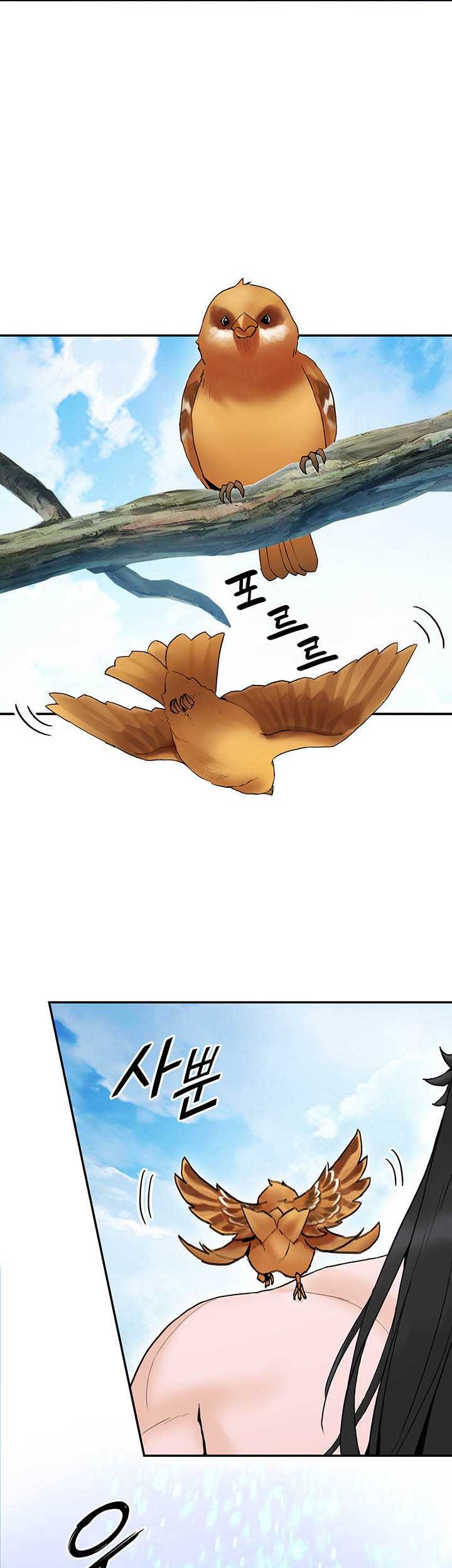 Dark and Light Martial Emperor Chapter 31 Gambar 26