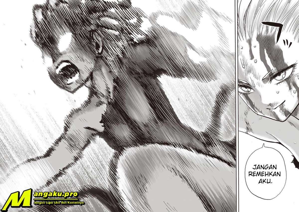 One Punch Man Chapter 187 Gambar 23