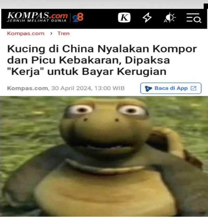 Artifact Reading Appraiser  Chapter 23 Gambar 74