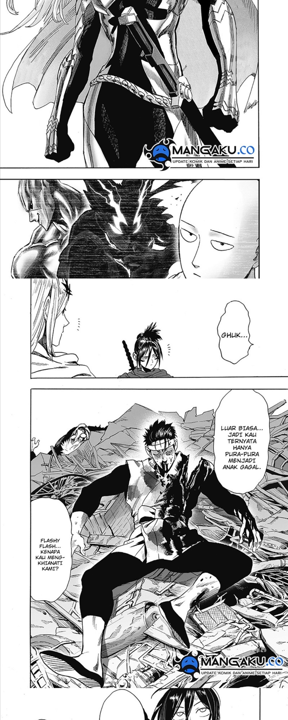One Punch Man Chapter 252.5 Gambar 3