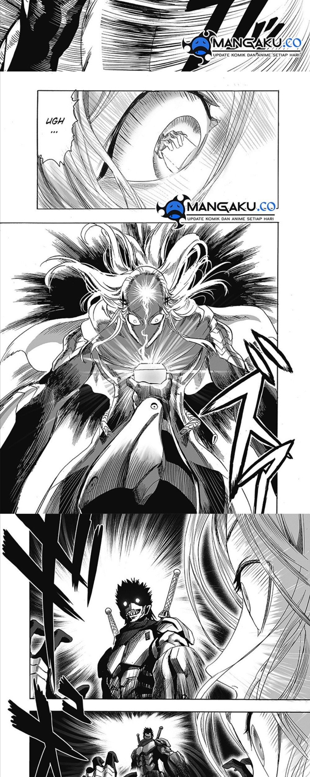 One Punch Man Chapter 252.5 Gambar 11