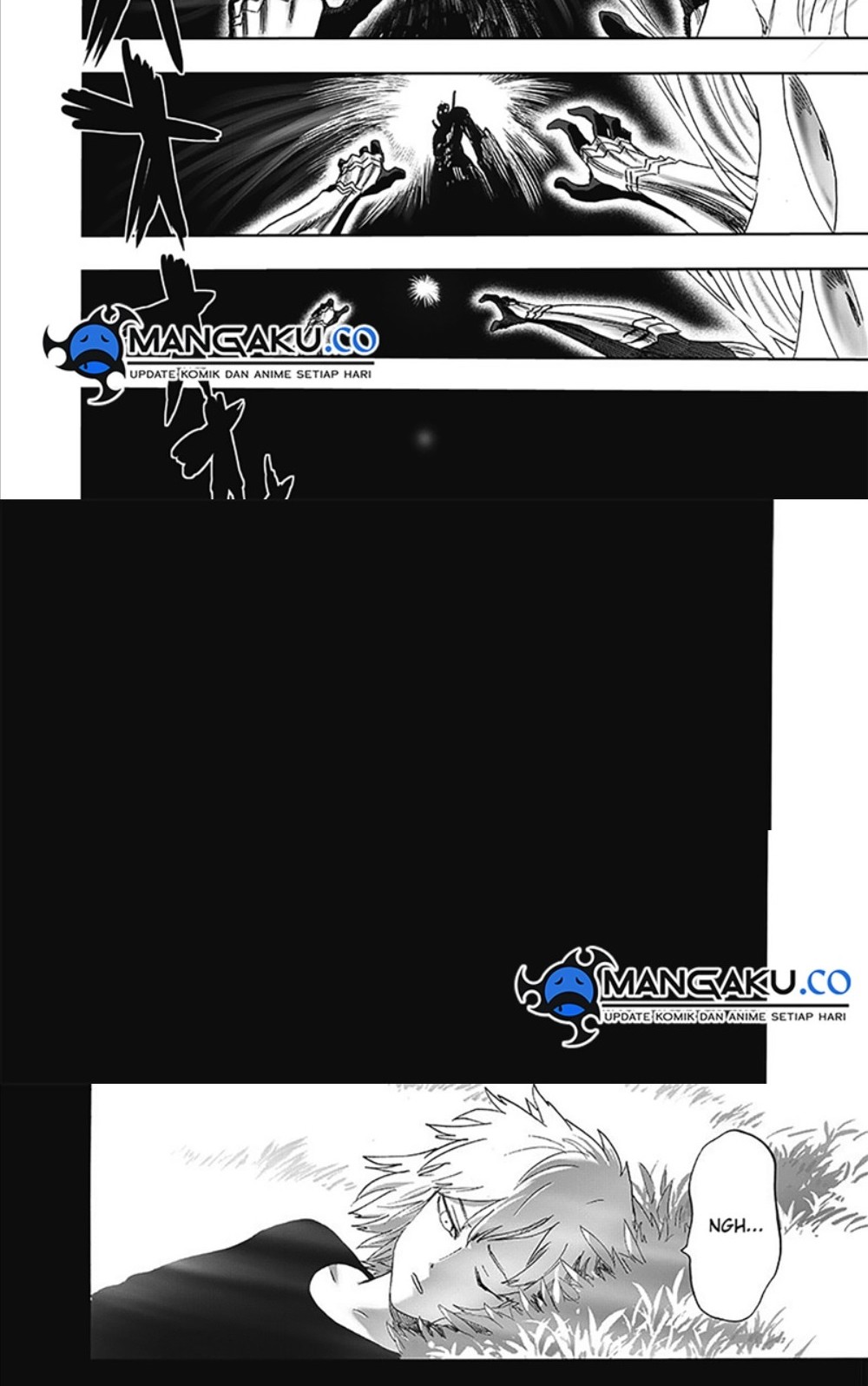 One Punch Man Chapter 252.5 Gambar 12
