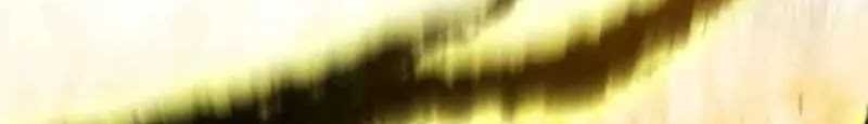 Regressor’s Life After Retirement Chapter 43 Gambar 31