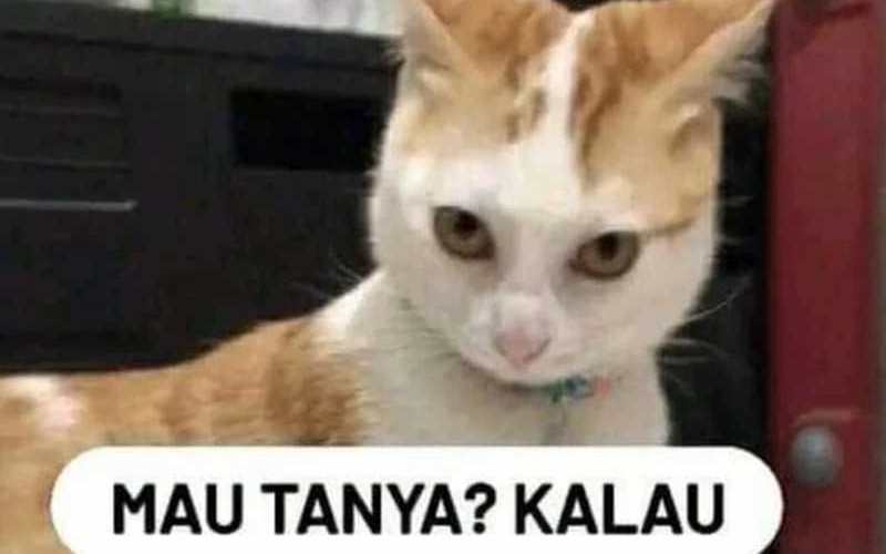 The Game’s Top Troll Chapter 73 Gambar 124
