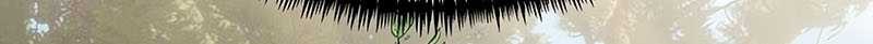 Terminally-Ill Genius Dark Knight Chapter 60 Gambar 22