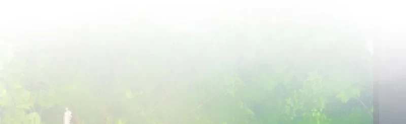 I Have 90 Billion Licking Gold Chapter 254 Gambar 26