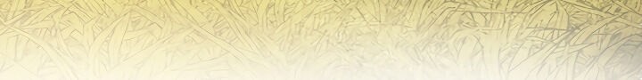 Into the Light, Once Again Chapter 14 Gambar 44