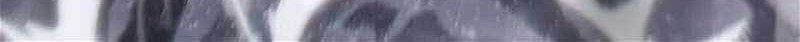 I’m Really Not The Demon God’s Lackey Chapter 127 Gambar 17