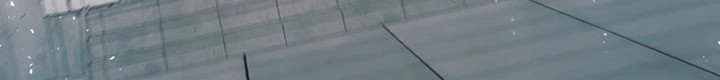 Black Killer Whale Baby Chapter 21 Gambar 39