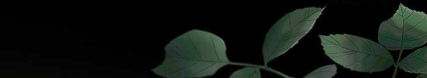 I’m Going to Steal Again Today Chapter 50 Gambar 40