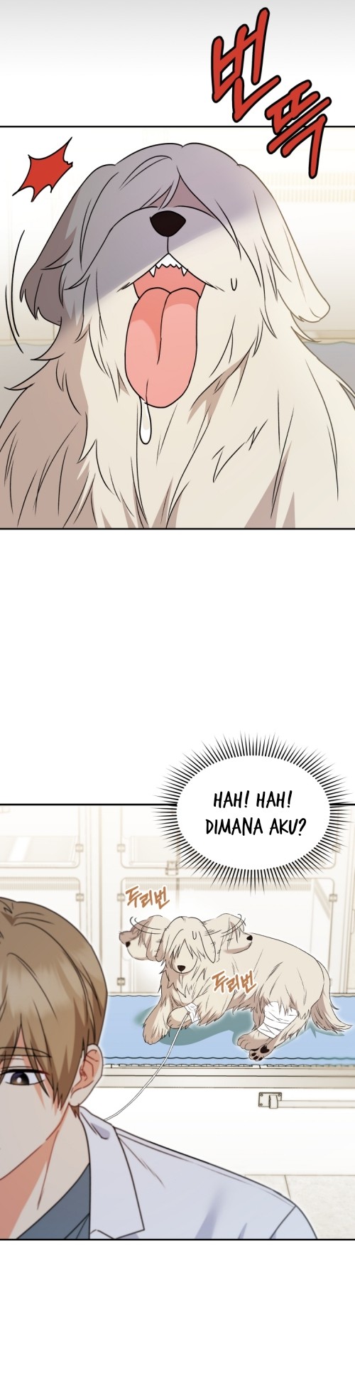 Hello? Veterinarian! Chapter 49 Gambar 7