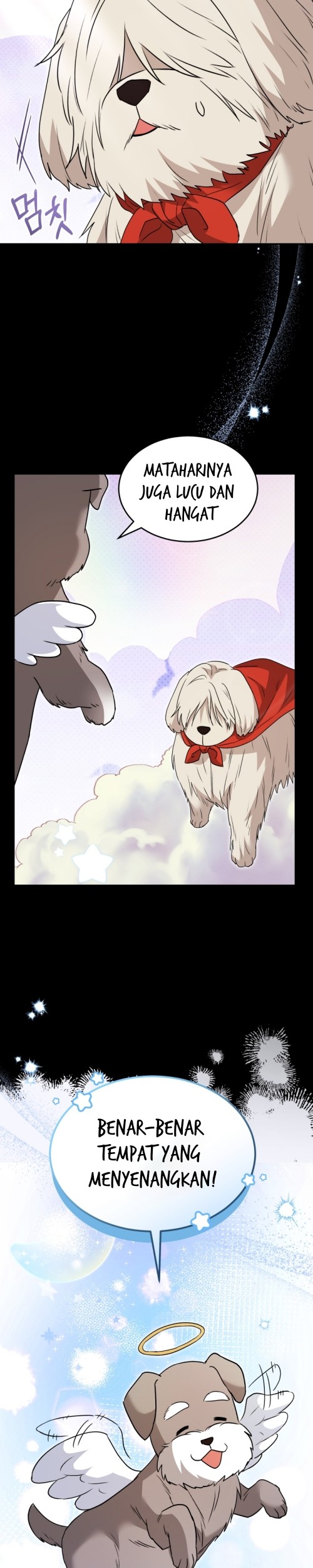 Hello? Veterinarian! Chapter 48 Gambar 31