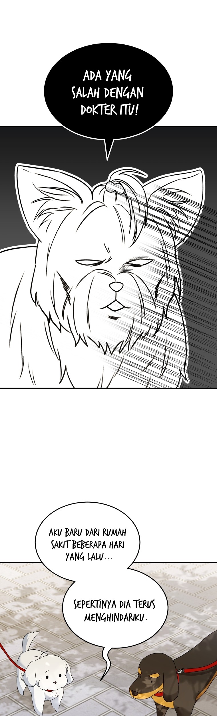 Hello? Veterinarian! Chapter 47 Gambar 33