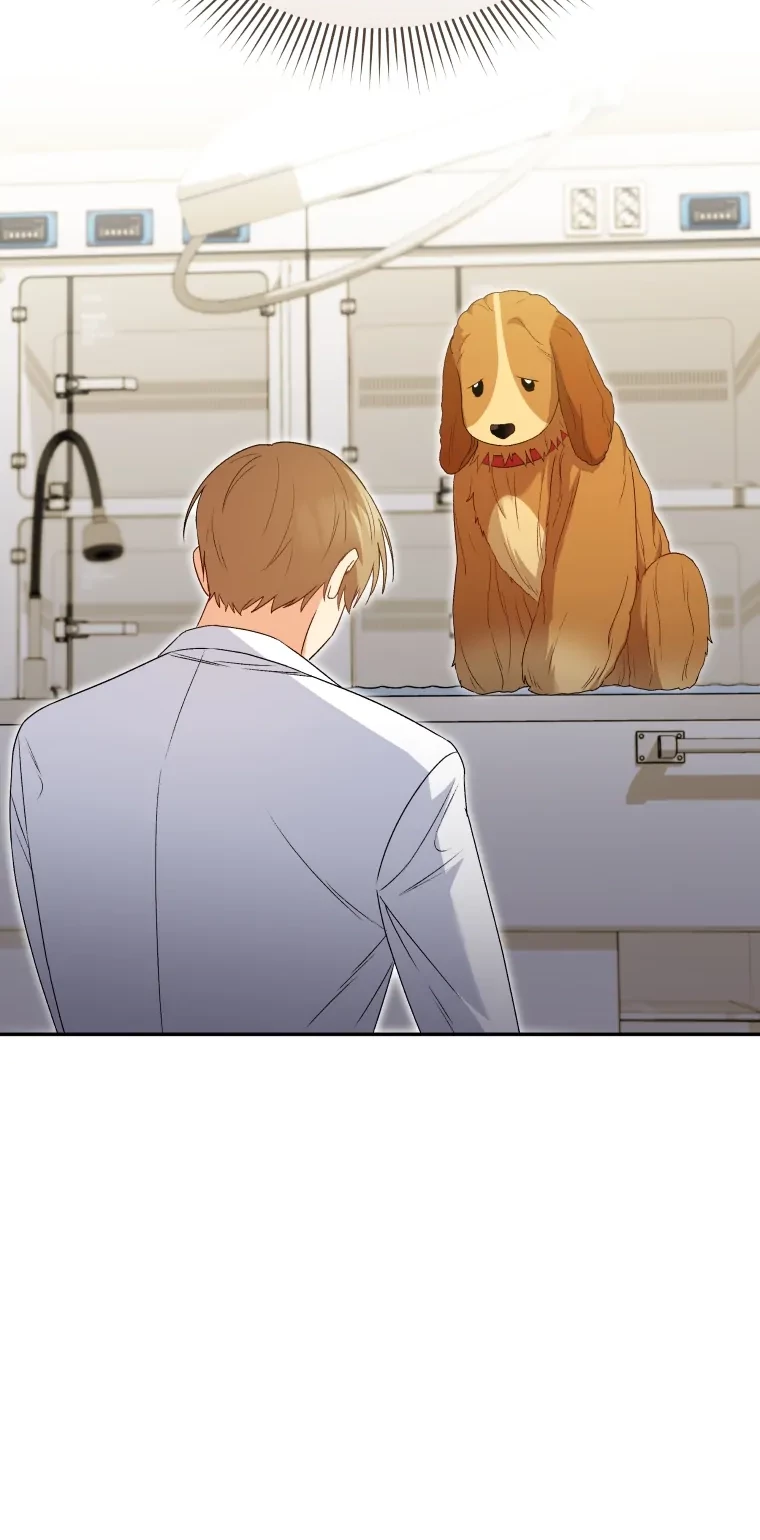 Hello? Veterinarian! Chapter 43 Gambar 28
