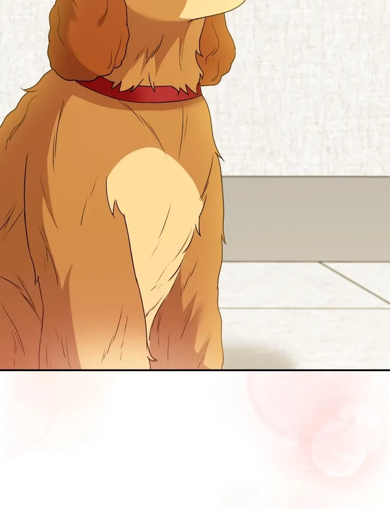 Hello? Veterinarian! Chapter 42 Gambar 34