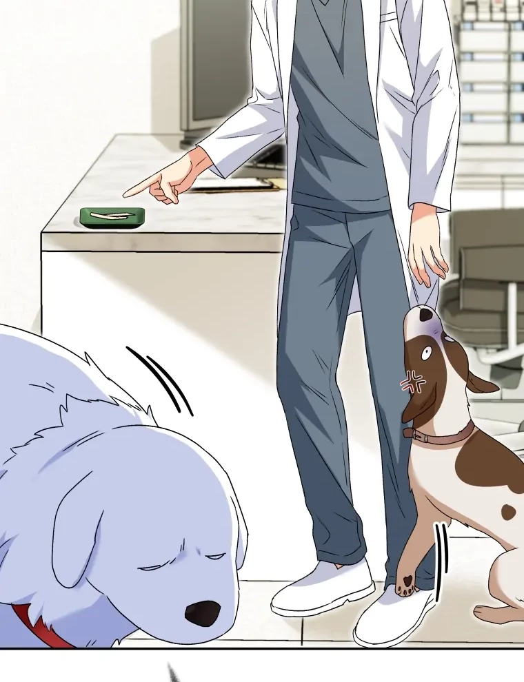 Hello? Veterinarian! Chapter 41 Gambar 48