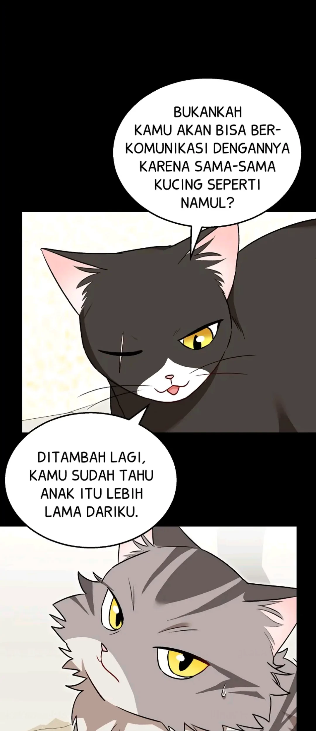 Hello? Veterinarian! Chapter 35 Gambar 15
