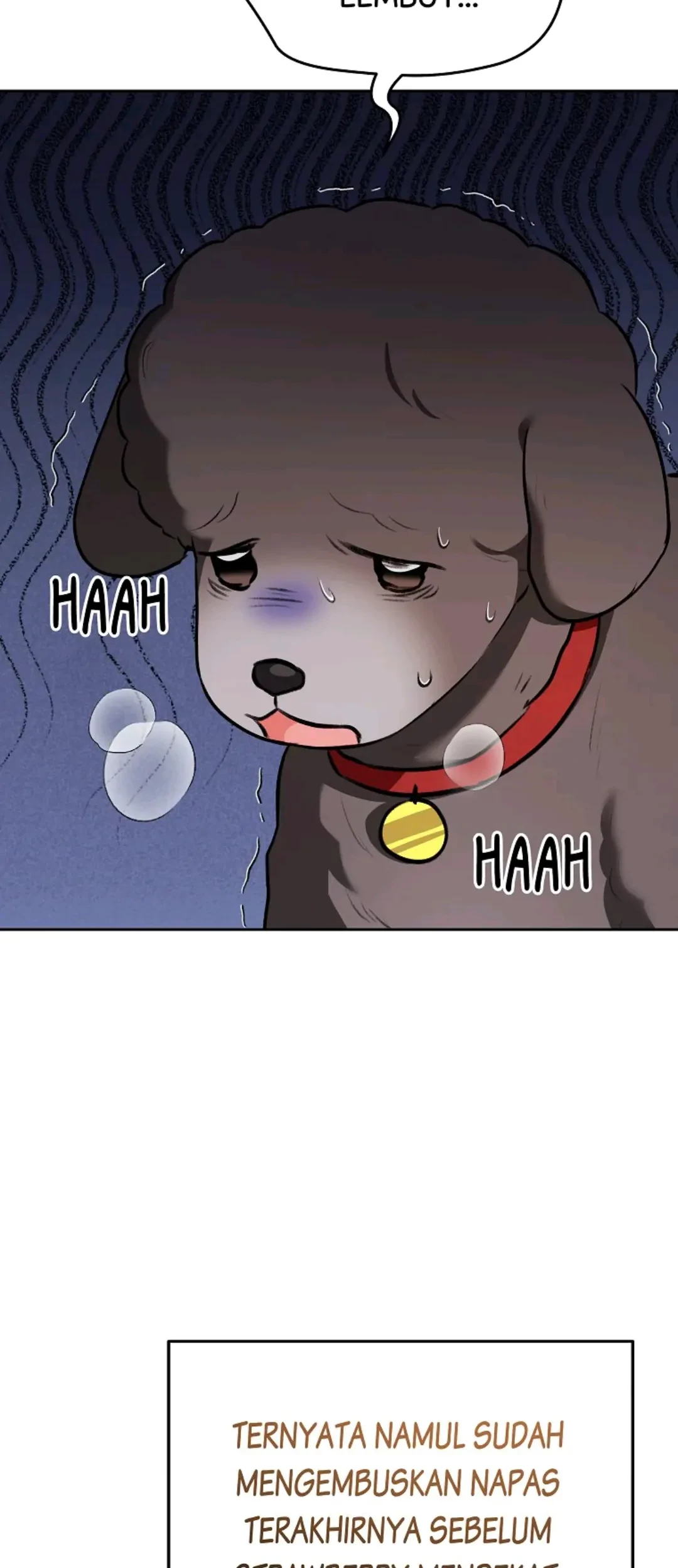 Hello? Veterinarian! Chapter 34 Gambar 41