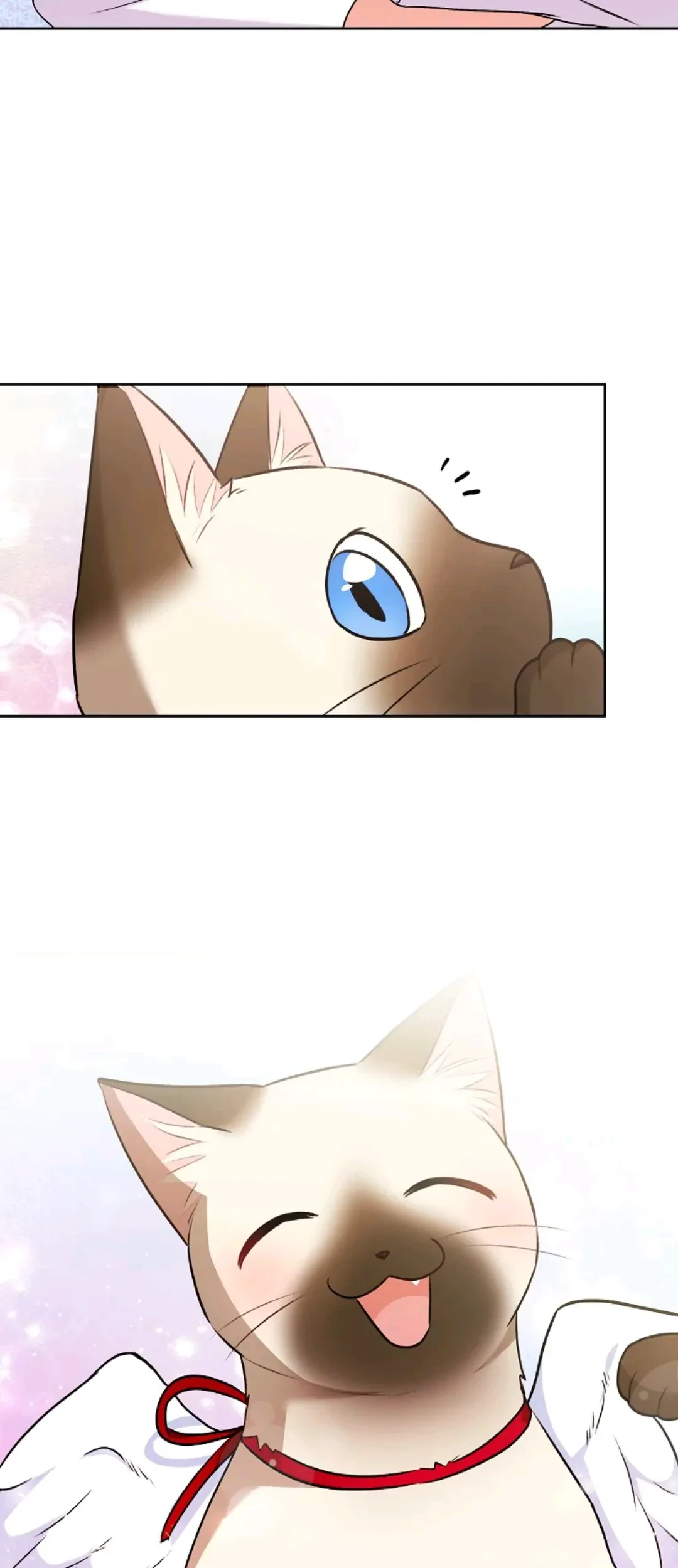 Hello? Veterinarian! Chapter 33 Gambar 40