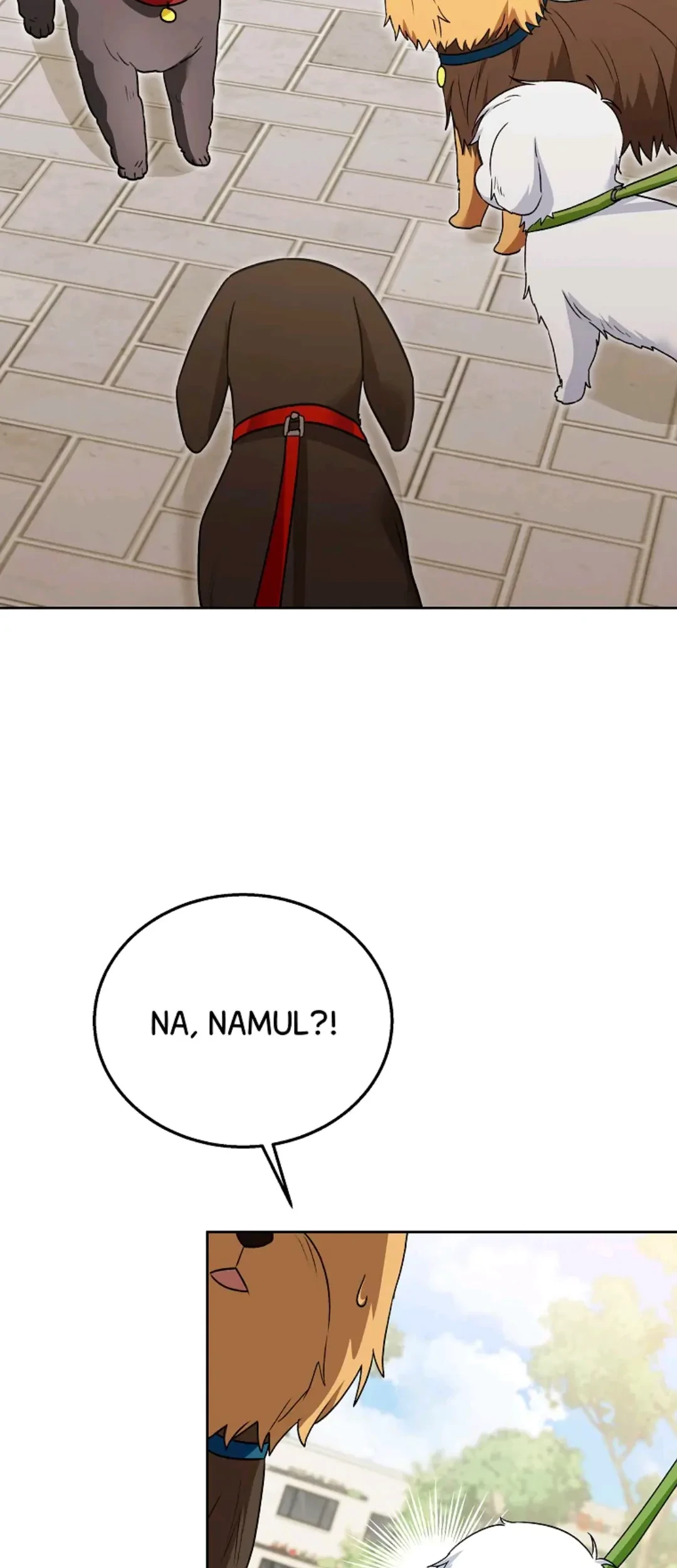 Hello? Veterinarian! Chapter 32 Gambar 72