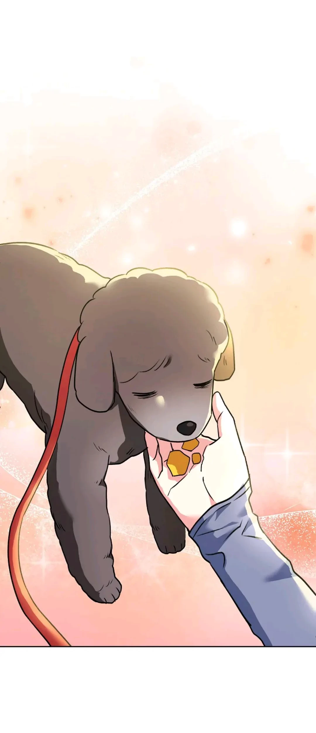 Hello? Veterinarian! Chapter 32 Gambar 85