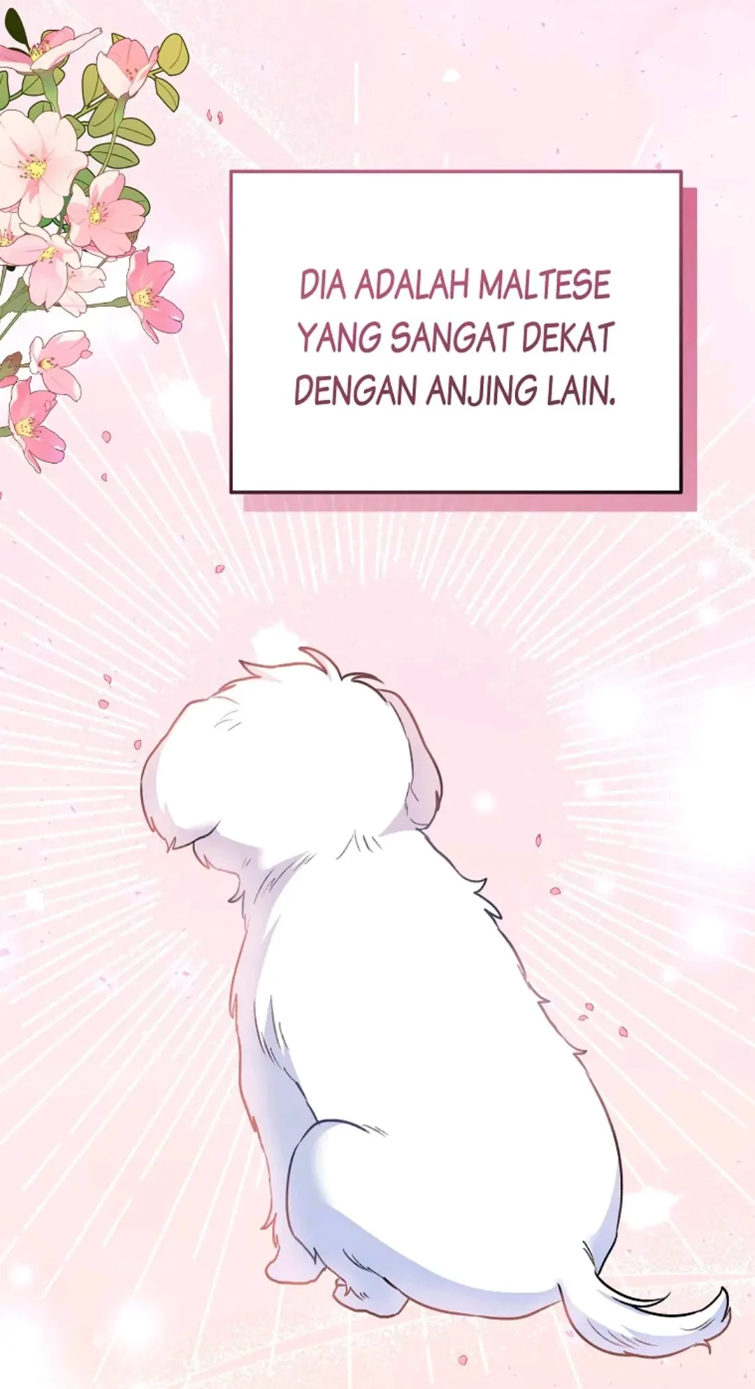 Hello? Veterinarian! Chapter 31 Gambar 74