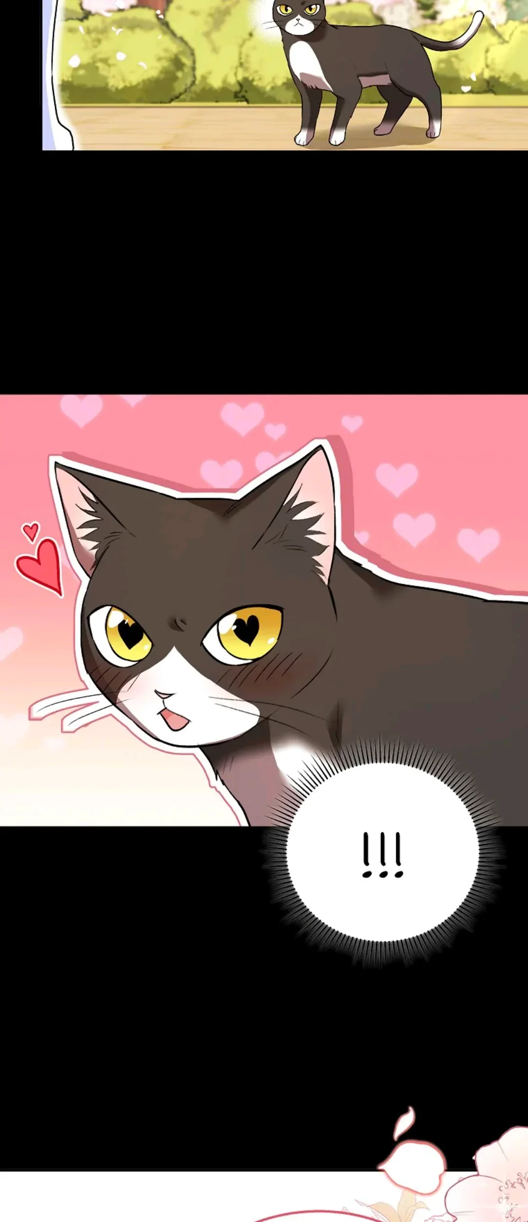 Hello? Veterinarian! Chapter 30 Gambar 75