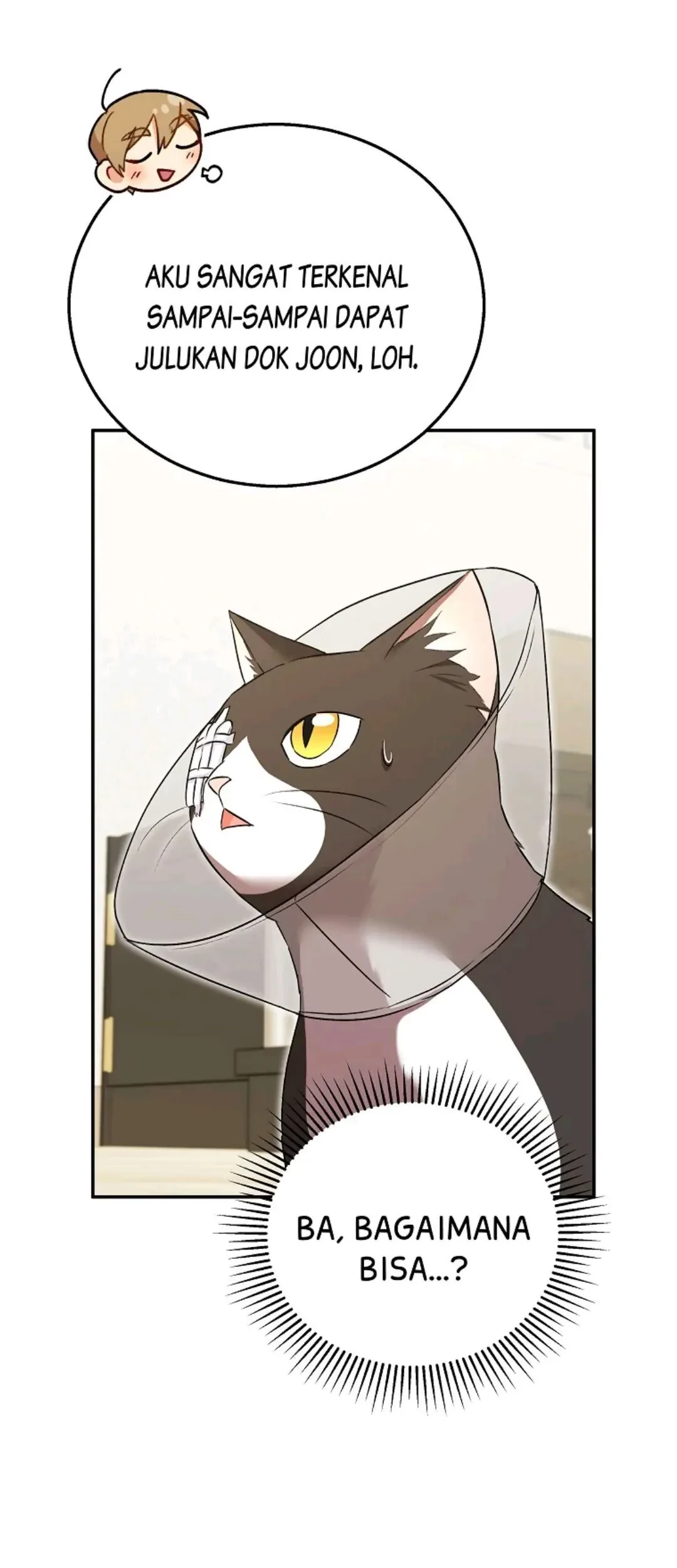 Hello? Veterinarian! Chapter 28 Gambar 7