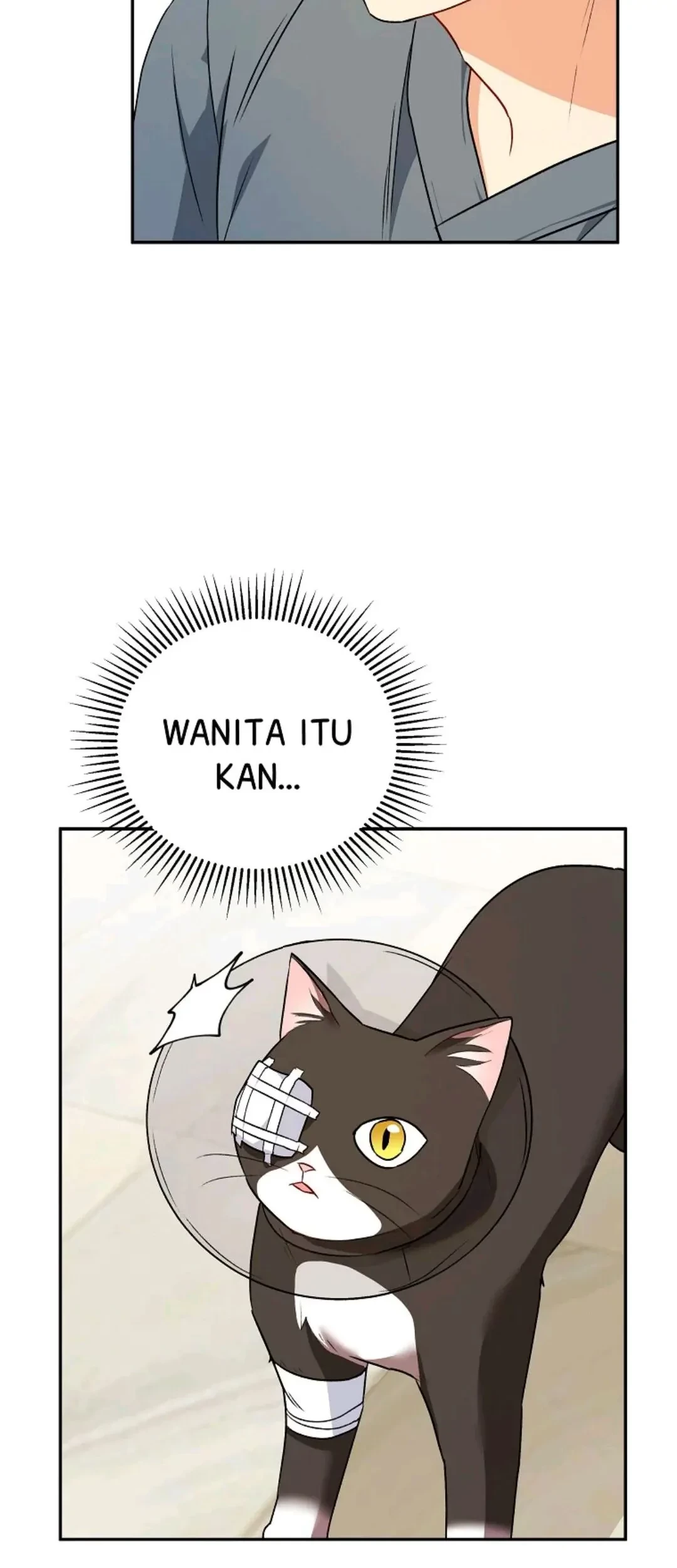 Hello? Veterinarian! Chapter 28 Gambar 12