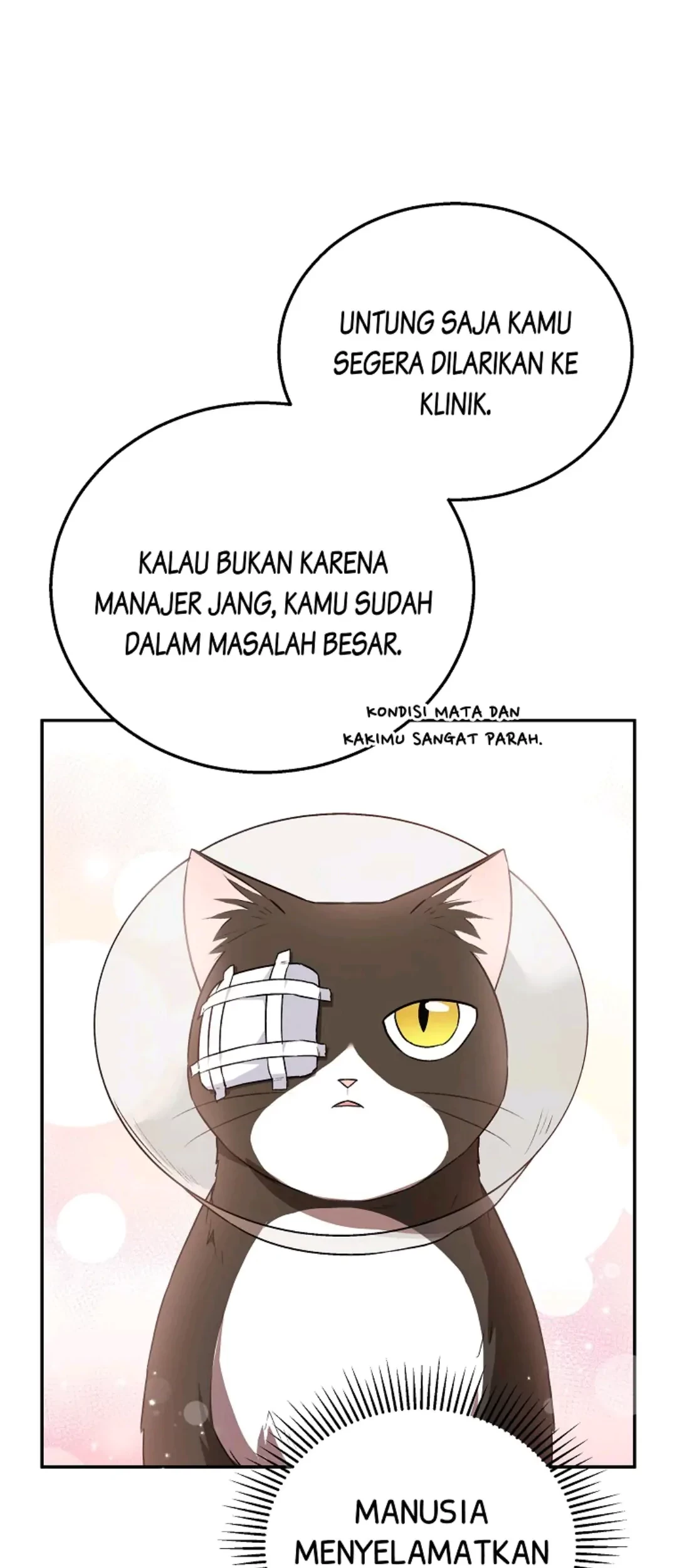 Hello? Veterinarian! Chapter 28 Gambar 24