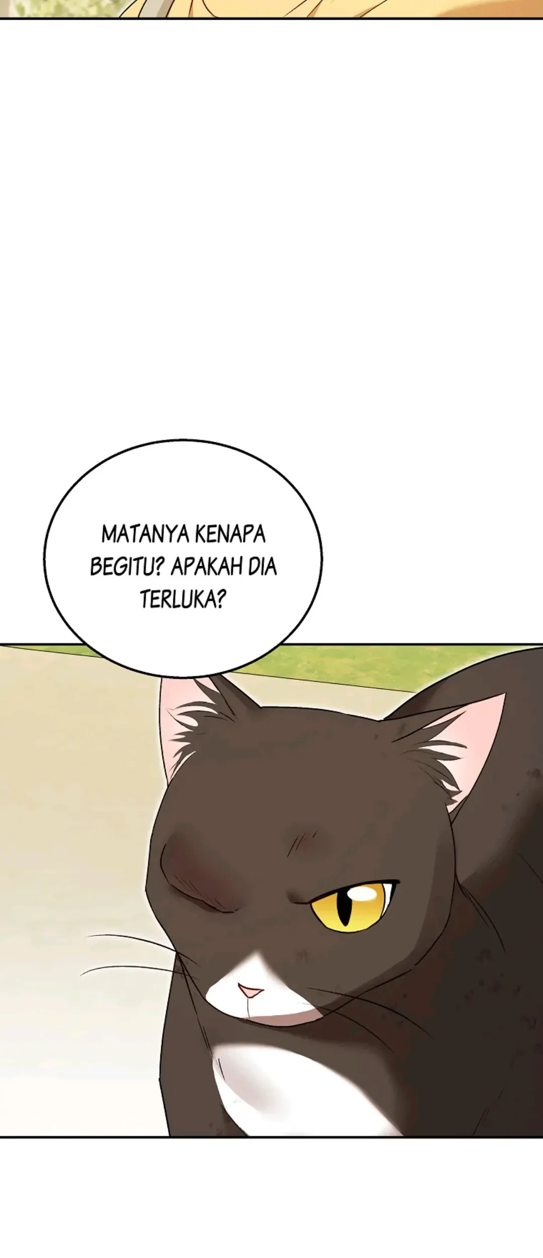 Hello? Veterinarian! Chapter 27 Gambar 6