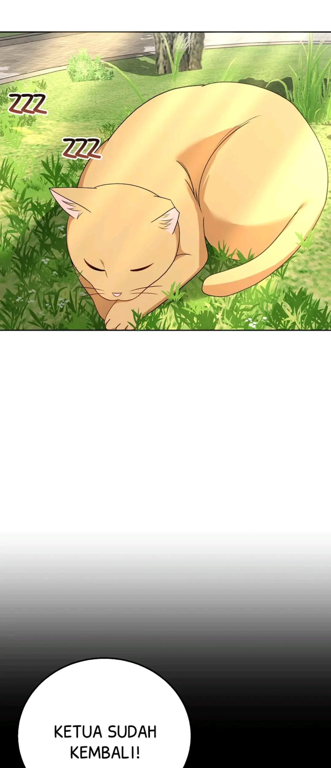 Hello? Veterinarian! Chapter 21 Gambar 29