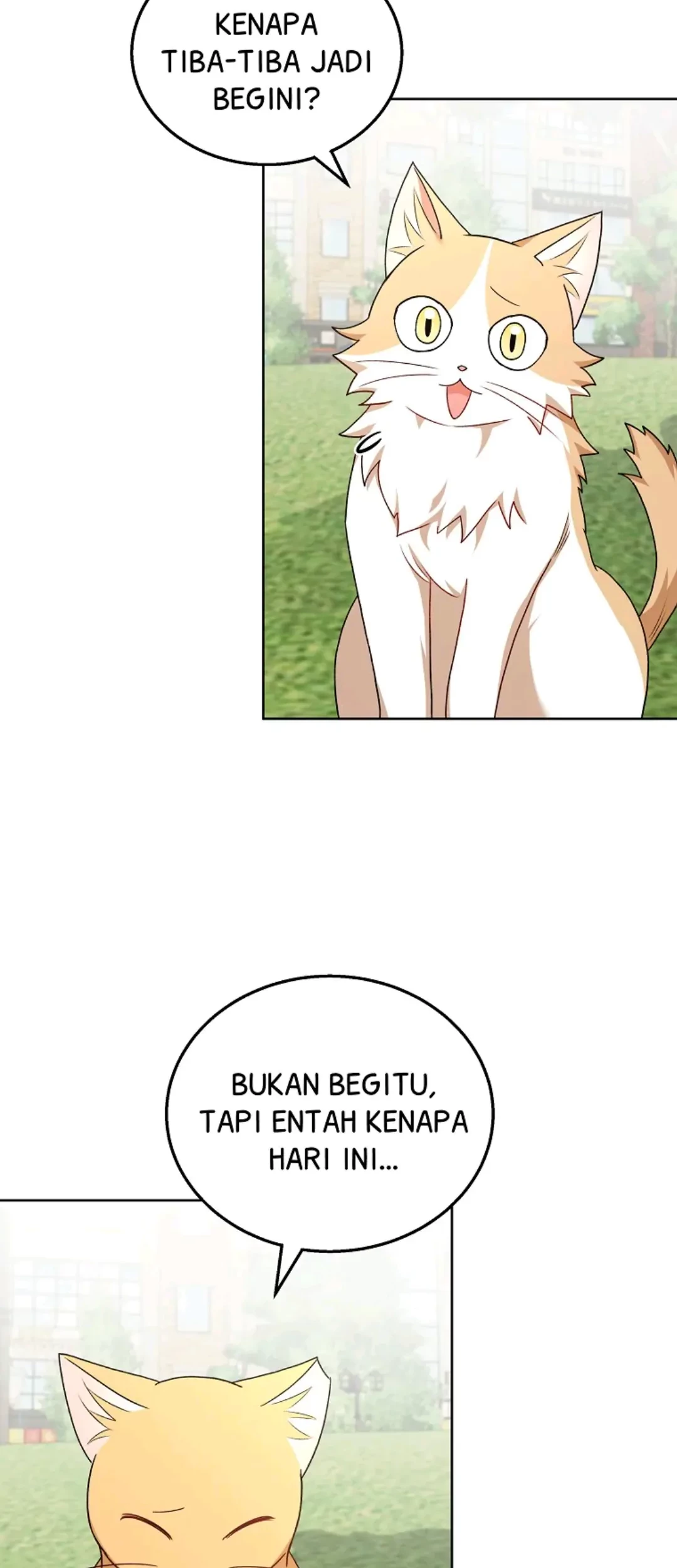 Hello? Veterinarian! Chapter 21 Gambar 39