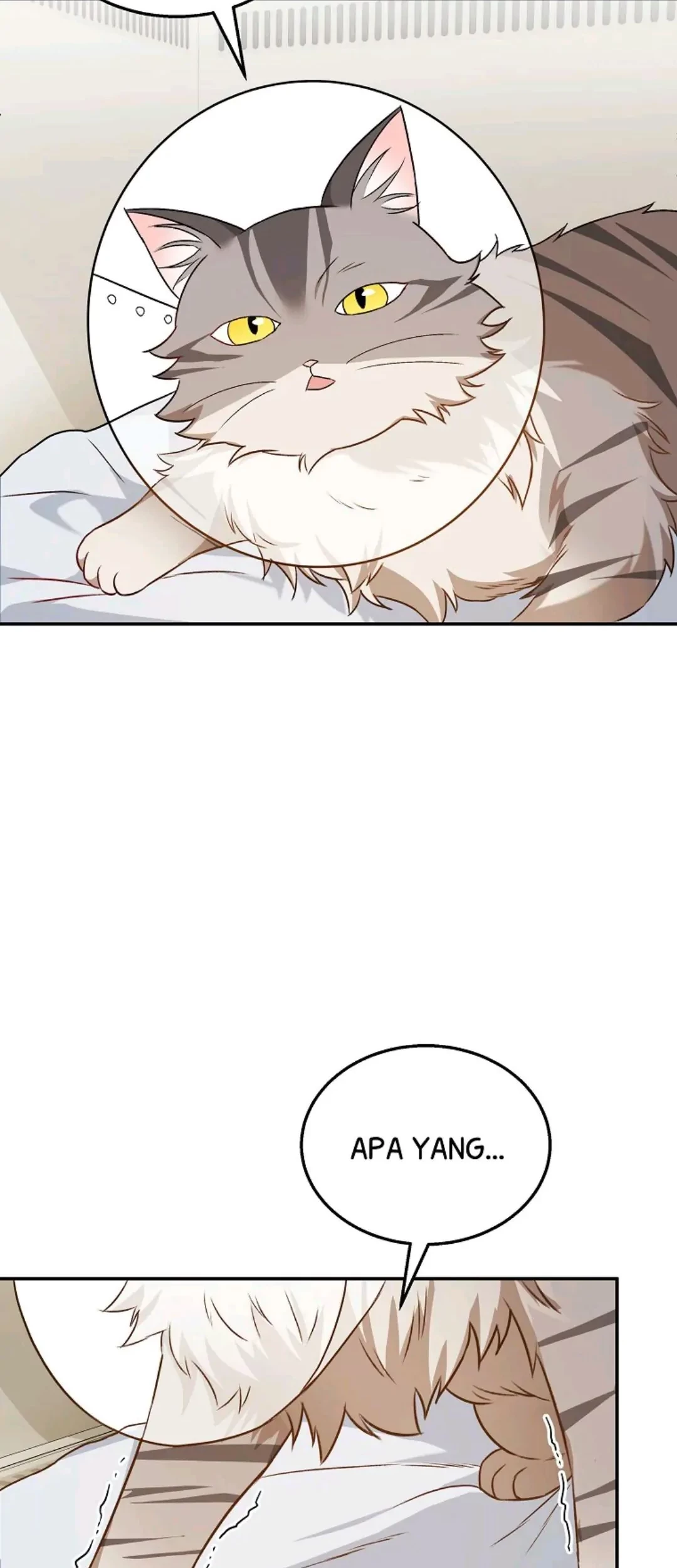 Hello? Veterinarian! Chapter 14 Gambar 79