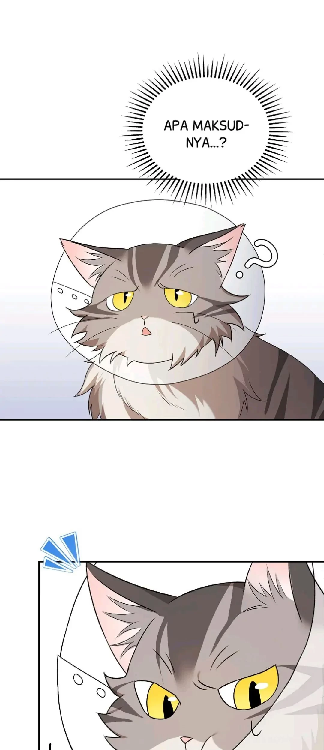 Hello? Veterinarian! Chapter 14 Gambar 84