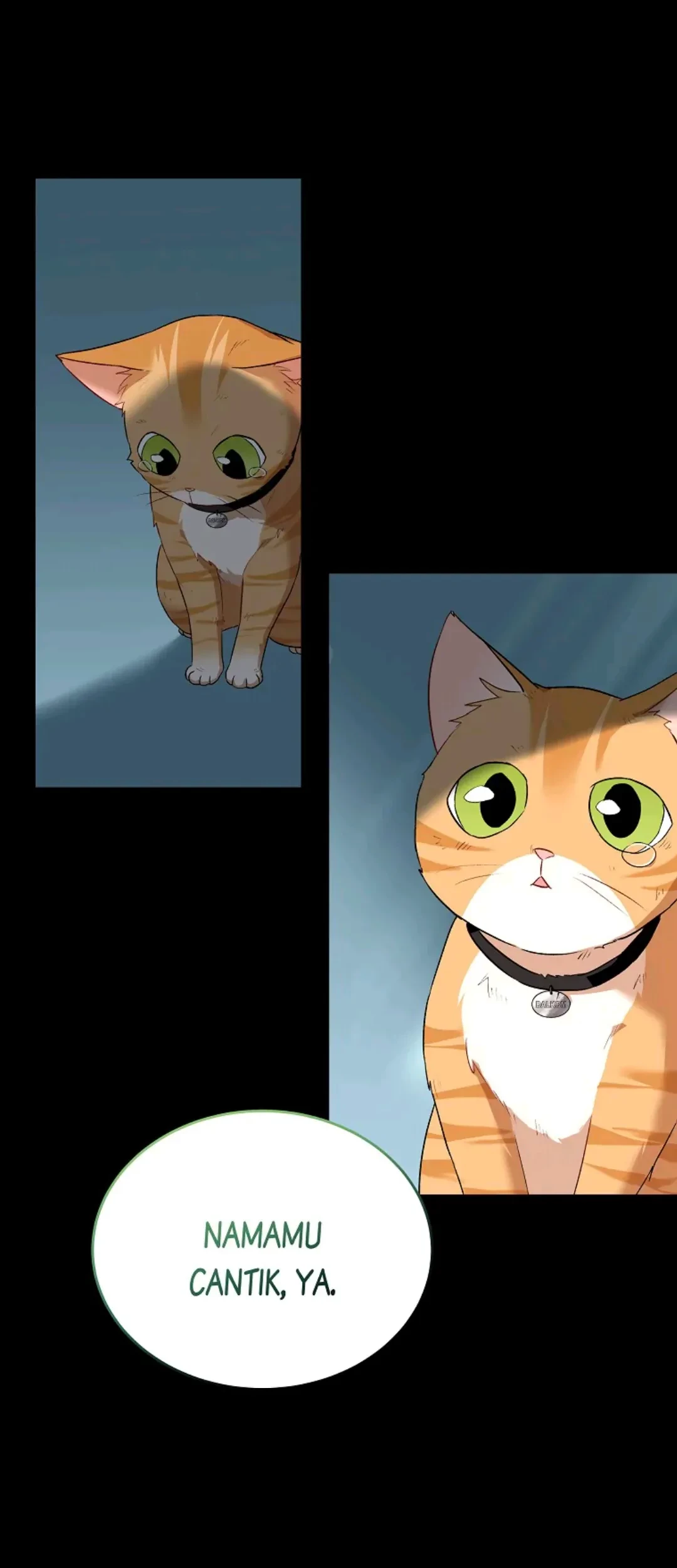 Hello? Veterinarian! Chapter 07 Gambar 61