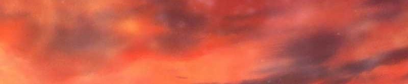 Forged Immortal Chapter 14 Gambar 38